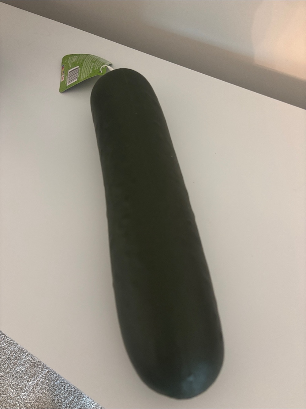 RMS  Hide/Enrichment Cucumber Prop - Dark Green